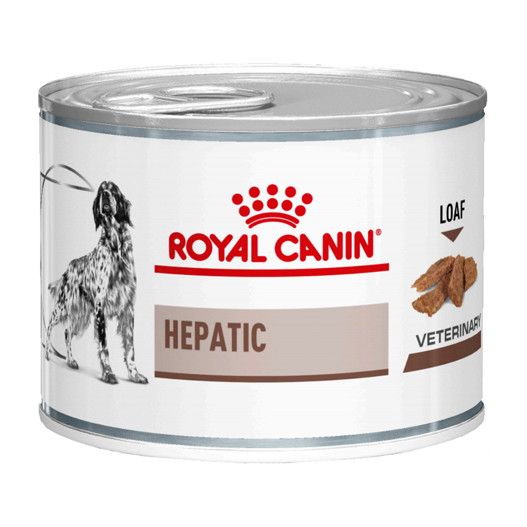 Корм для собак при заболевании печени. Роял Канин гастро Интестинал для собак консервы. Royal Canin hepatic для собак консервы. Роял Канин гастро Интестинал для щенков паштет. Роял Канин паштет hepatic для собак.